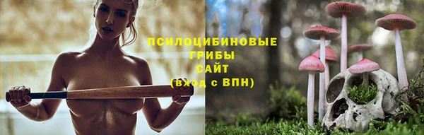 2c-b Алзамай