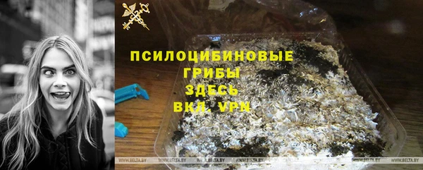 2c-b Алзамай