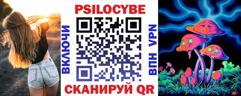 закладка  Томмот  Псилоцибиновые грибы прущие грибы 