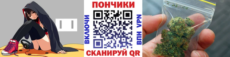 блэк спрут ссылка  Томмот  Каннабис ГИДРОПОН 